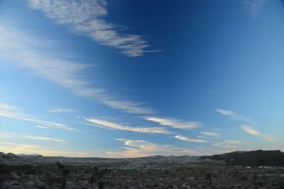 DSC_0308 (Large).JPG